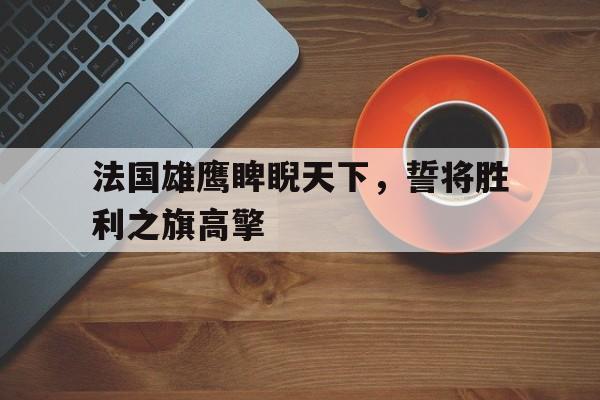 法国雄鹰睥睨天下，誓将胜利之旗高擎的简单介绍